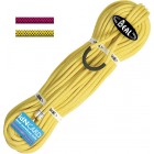 BEAL Joker 9,1 Golden Dry