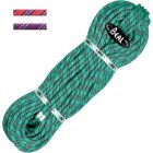 BEAL Top Gun II 10,5 Golden Dry