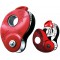PETZL Mini Traxion