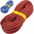 TENDON Ambition 10 Standard